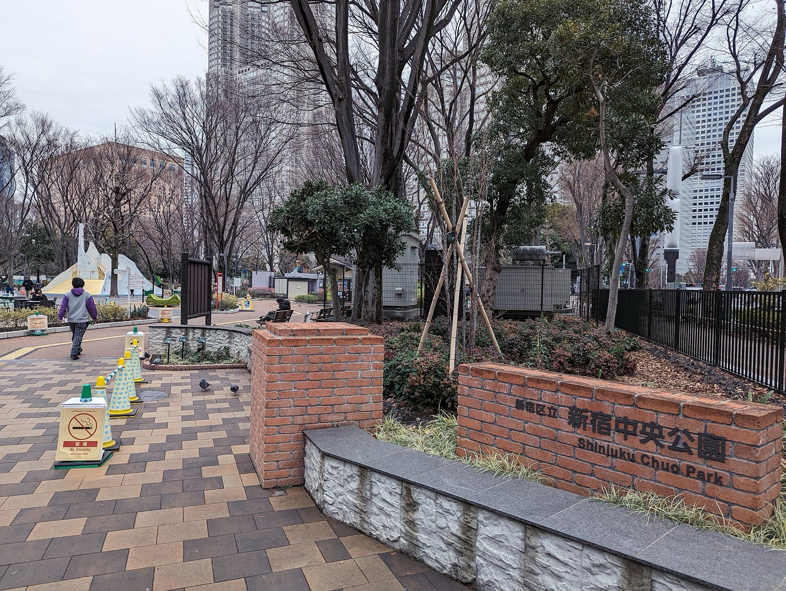 高層ビルを背にした新宿中央公園の芝生と並木(2024年2月4日撮影)。写真:Syced / Wikimedia Commons / CC0 1.0