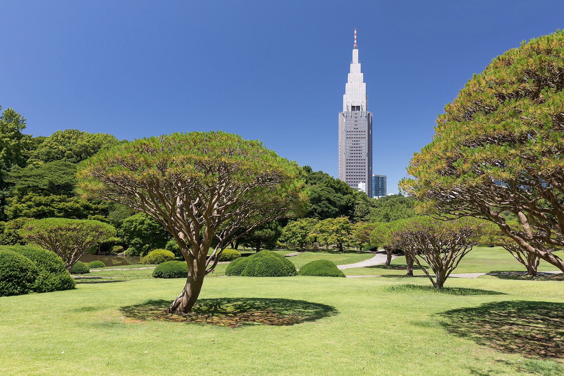 新宿御苑の日本庭園の芝生と、背後のNTTドコモ代々木ビル（2019年6月撮影）。写真：Basile Morin / Wikimedia Commons / CC BY-SA 4.0