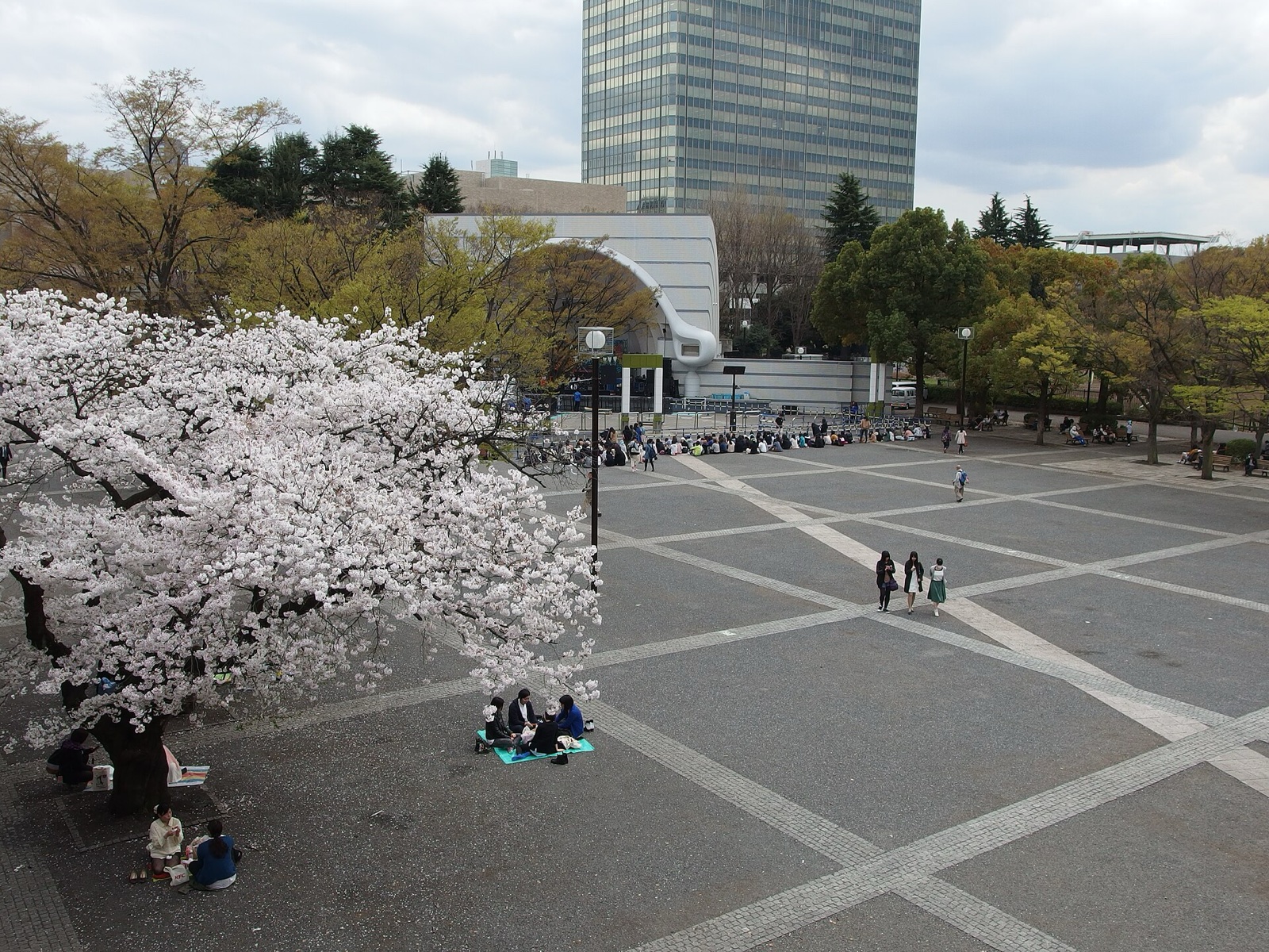 代々木公園の広場で、桜の木の下に敷物を広げて語り合う少人数のグループ(遠景)。写真:Guilhem Vellut / Wikimedia Commons / CC BY 2.0(2014年4月2日撮影)